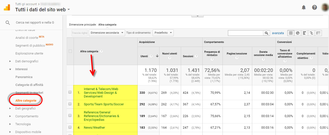 rapporti interessi google analytics