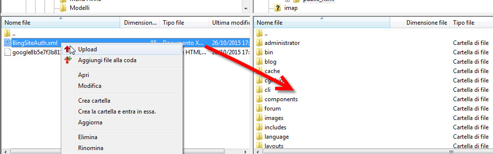bing webmaster verifica