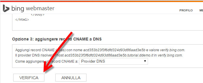collegare wordpress bing webmaster tools 