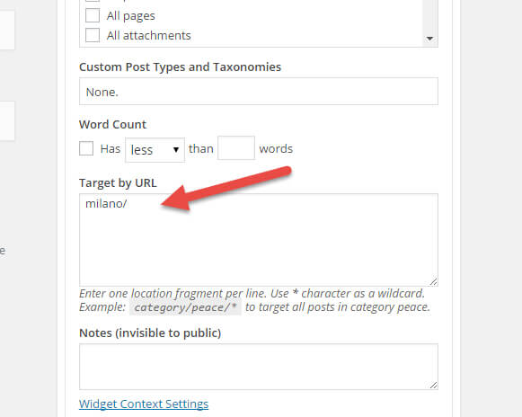 Widget Context WordPress