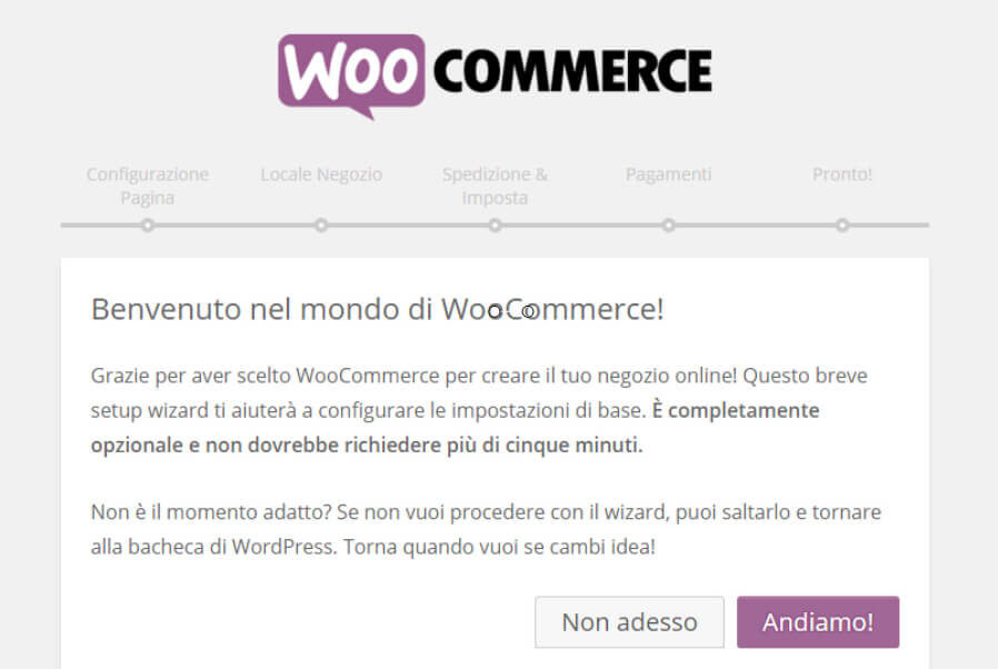 woocommerce setup wizard